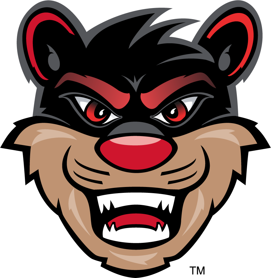 Cincinnati Bearcats 2010-Pres Mascot Logo DIY iron on transfer (heat transfer)